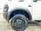 2026 RAM Ram 4500 Chassis Cab RAM 4500 TRADESMAN CHASSIS REGULAR CAB 4X2 84' CA
